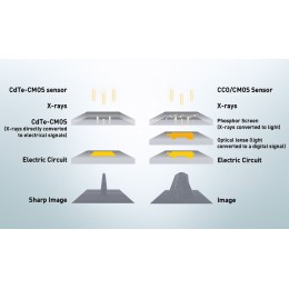 FONA Art Plus/Art Plus C - рентгенографическая цифровая система панорамной съемки