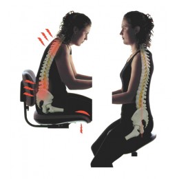 Salli Twin Ergorest with Stretching Support - эргономичный стул врача-стоматолога для работы с микроскопом