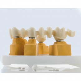 Ceramill ZI - заготовки из циркона