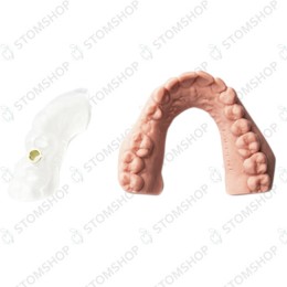 Asiga PICO HD - компактный профессиональный 3D принтер для стоматологов