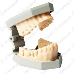 Asiga PICO HD - компактный профессиональный 3D принтер для стоматологов