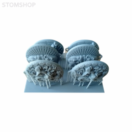 ESUN Standard - фотополимерная смола, серая, 1 л