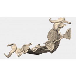 Exocad Partial Framework Module - модуль для создания бюгелей