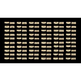 Exocad Tooth Library - дополнительная библиотека естественных зубов