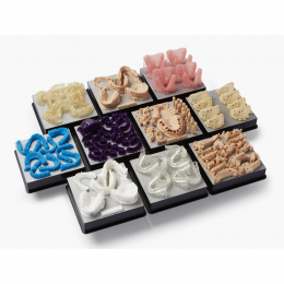 Formlabs Form 3B - 3D-принтер для стоматологии