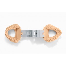 Formlabs Dental Model - фотополимер, картридж, 1л