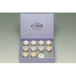 CZR PROFESSIONAL KIT - набор дополнительных оттенков