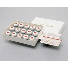 EX-3 Margin porcelain kit - набор маргинального края