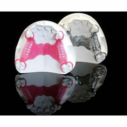 Rapidshape D40 II - 3D-принтер для стоматологии