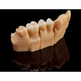 Rapidshape D40 II - 3D-принтер для стоматологии