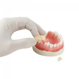 RAYDENT Studio - стоматологический настольный 3D-принтер c технологией  ЖК-печати