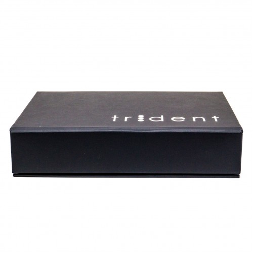 Trident i-View - цифровой радиовизиограф | Trident (Италия)